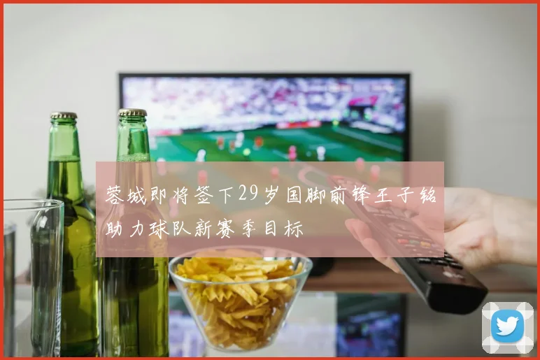 蓉城即将签下29岁国脚前锋王子铭助力球队新赛季目标