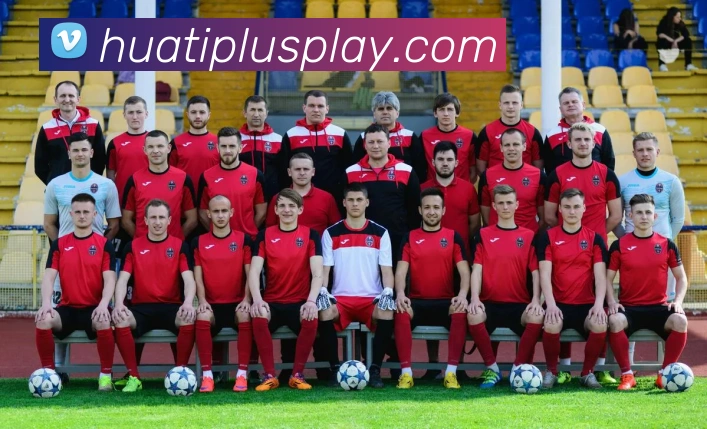 华体会体育平台生态图