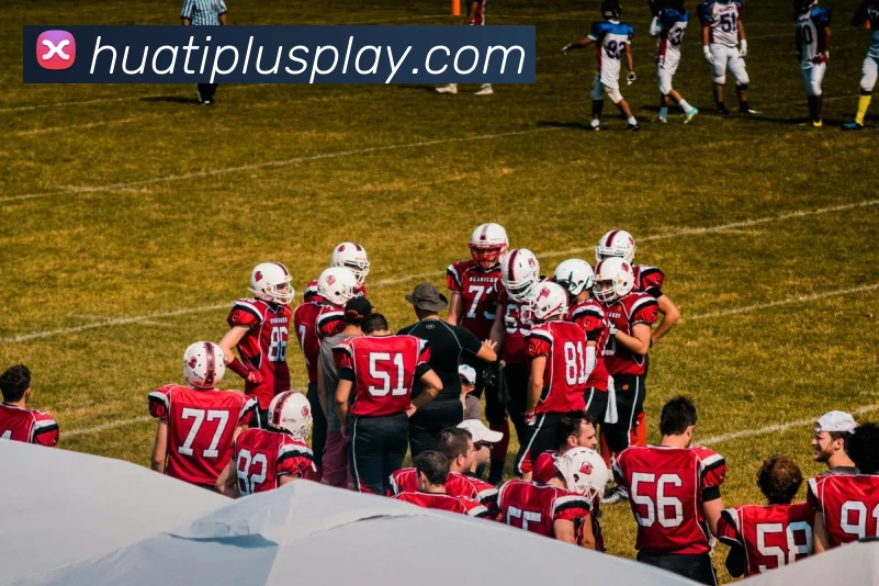 华体会体育APP 封面图